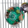 Generation II Foraging Wheel Bird Toy