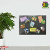 3D LiveLife Magnets - Birds of the Tropics
