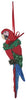 Green Wing Macaw Ornament