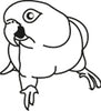 Caique Car Decal