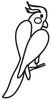 Cockatiel Car Decal