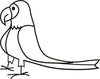 Macaw Car Decal